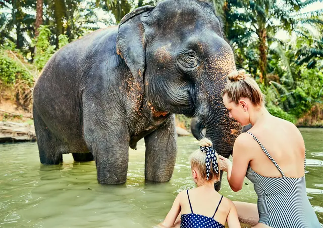 Adventure & Elephant Park